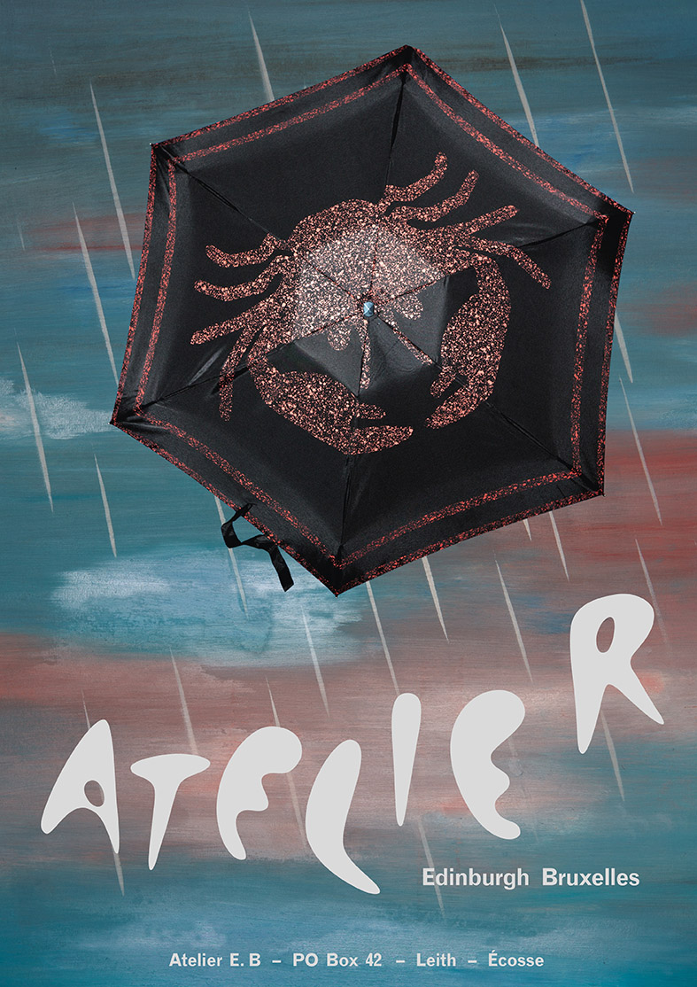 		Scutum umbrella