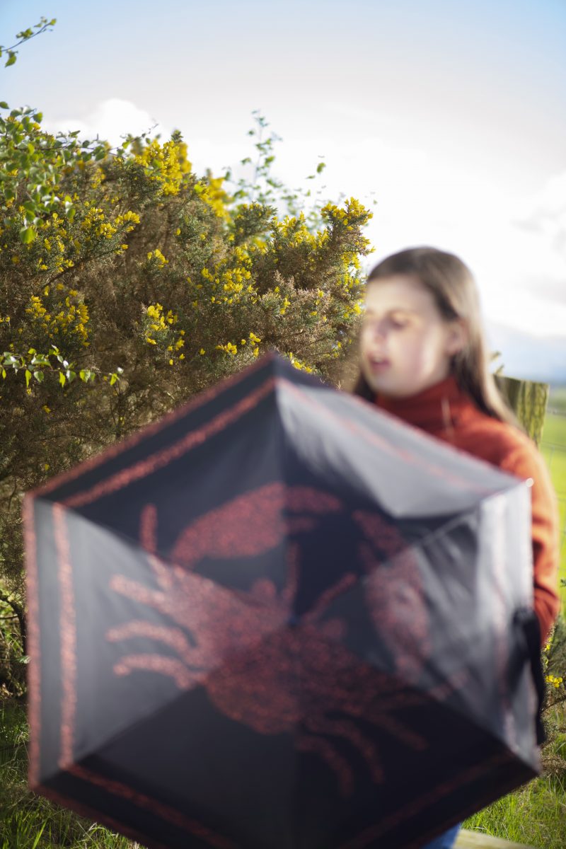 		Scutum umbrella